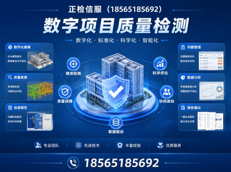 广州数字项目质量检测展示图
